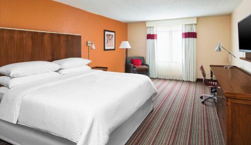 Guest Room, 1 King