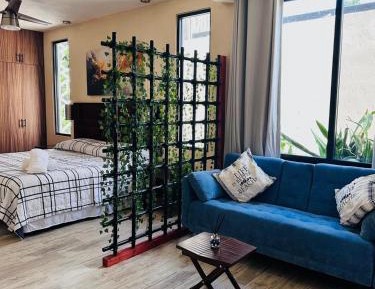 Studio with Garden View