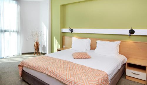 One-Bedroom Deluxe Apartment 
