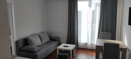 One-Bedroom Apartment with City View