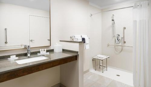 King Suite with Sofa Bed - Mobility/Hearing Accessible with Roll-In Shower