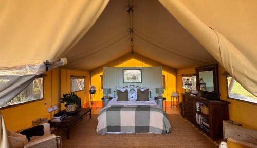 Tent
