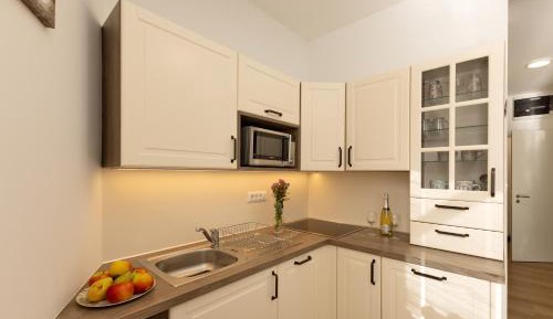 One-Bedroom Apartment with Terrace