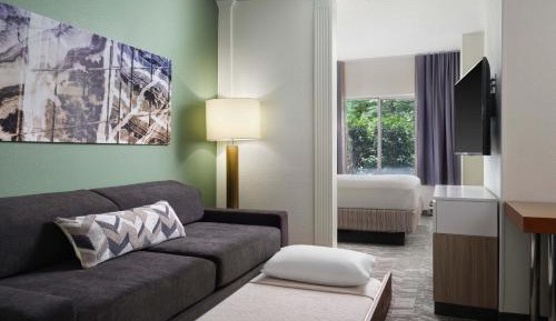 One-Bedroom King Suite with Sofa Bed