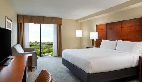 Standard King Room with Sofa Bed - Non-Smoking