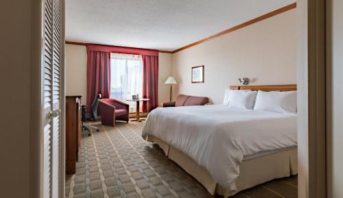 Business King Room