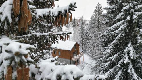 Three-Bedroom Chalet