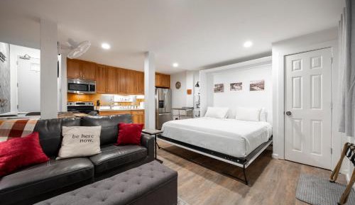 King Studio with Sofa Bed