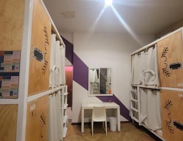Bed in 6-Bed Dormitory Room