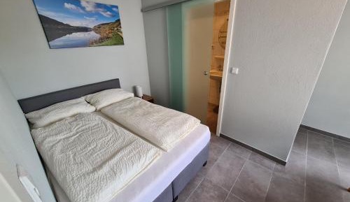 One-Bedroom Apartment with River View