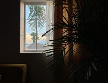 Superior King Suite