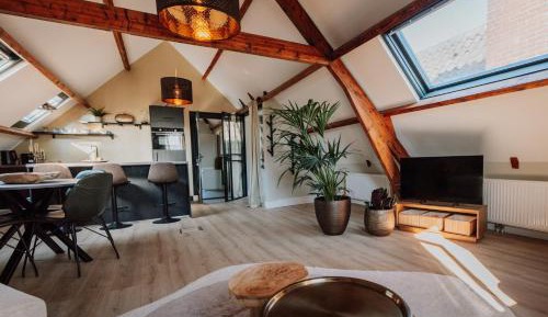 One-Bedroom Deluxe Apartment
