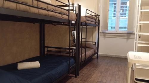 Bunk Bed in Mixed Dormitory Room