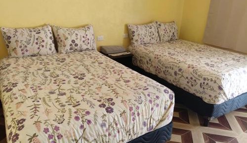 Twin Room with Private Bathroom