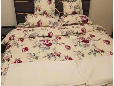 Double Room with Shared Bathroom