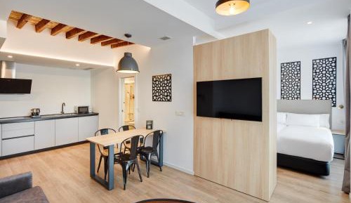 Studio with Sofa Bed