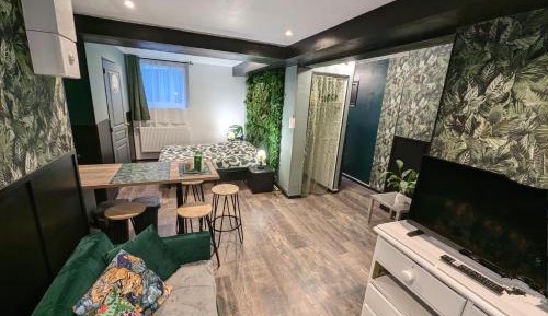 Studio with Terrace