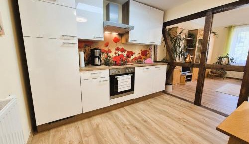 One-Bedroom Apartment with Shower