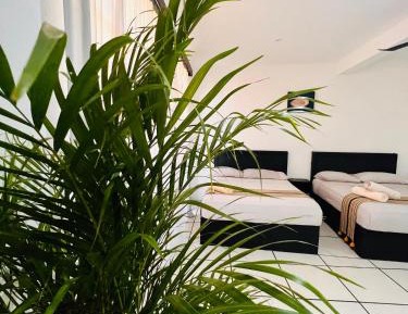 Standard Queen Room with Two Queen Beds
