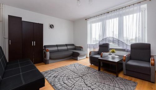 Studio with Sofa Bed