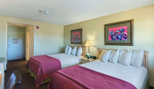 Quadruple Room with Two Queen Beds - Non Smoking