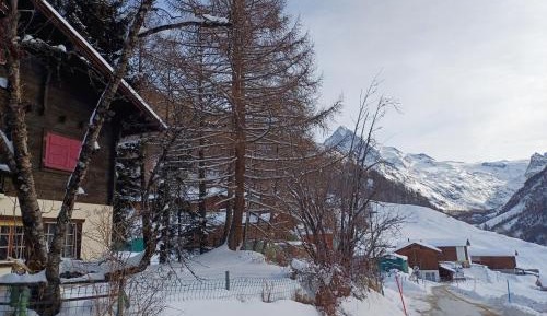 Two-Bedroom Chalet