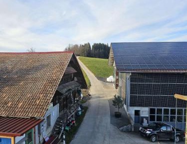 Single Room with Shared Shower and Toilet