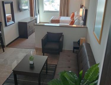 Executive Suite