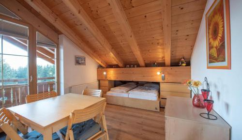 Apartment with Mountain View