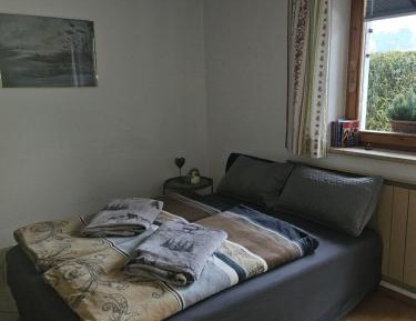 One-Bedroom Apartment with Shower