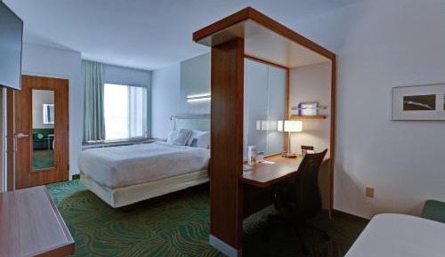 King Suite with Sofa Bed
