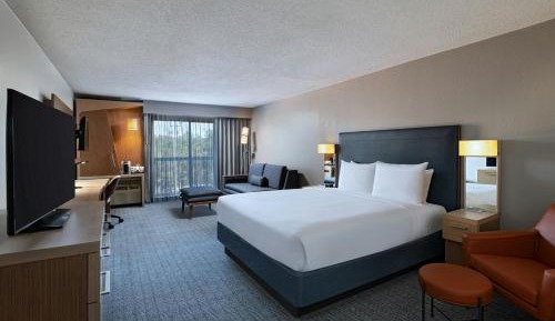 Deluxe King Room with Sofa Bed
