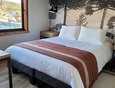 Standard Double Suite