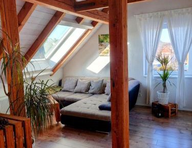 Apartment with Mountain View