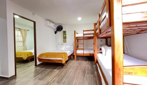 Single Bed in Mixed Dormitory Room