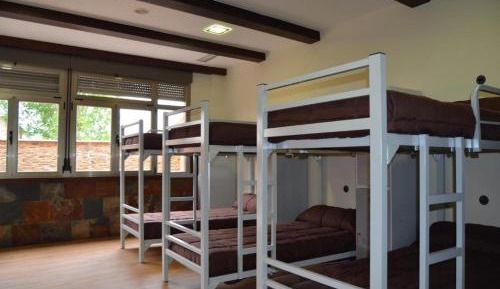 Bunk Bed in Mixed Dormitory Room