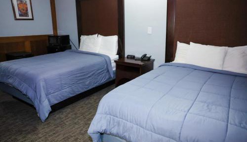 Double Room with Two Double Beds