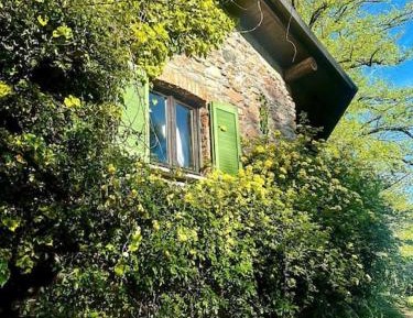 One-Bedroom Chalet