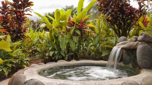 Superior Thermal Room, 2 Double Beds (Private Pool)