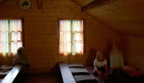 10-Bed Mixed Dormitory Room