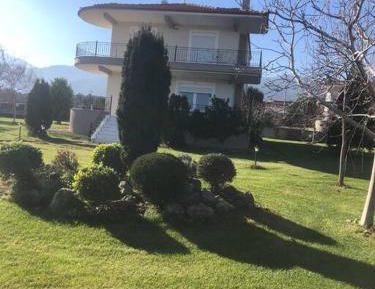 Deluxe Villa