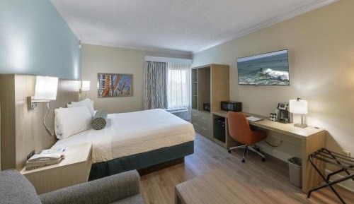 King Room with Sofa Bed