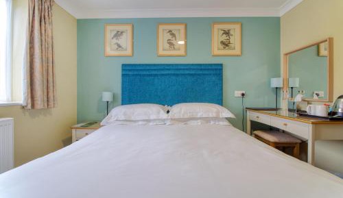 Classic Single Room