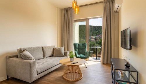 One-Bedroom Deluxe Apartment