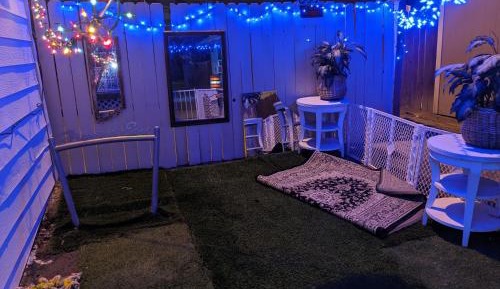 Economy Single Room
