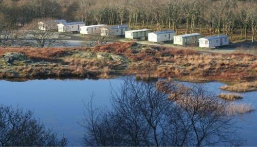 Mobile Home
