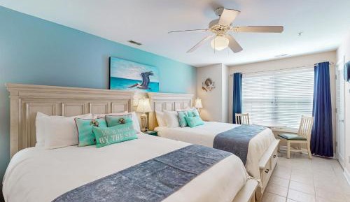 One Bedroom Apartment