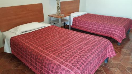 Classic Single Room