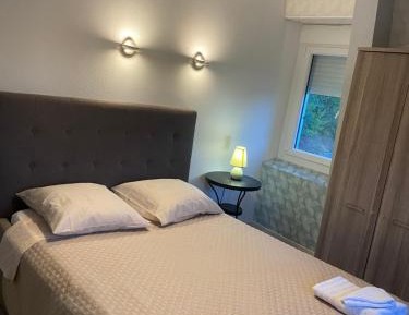 One-Bedroom Apartment with River View