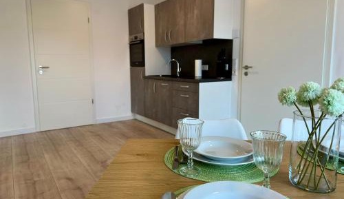 One-Bedroom Apartment with Balcony